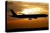 Silhouette of a Pakistan International Airlines Boeing 777-null-Stretched Canvas