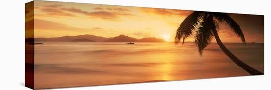 Silhouette of a Palm Tree on the Beach at Sunset, Anse Severe, La Digue Island, Seychelles-null-Stretched Canvas