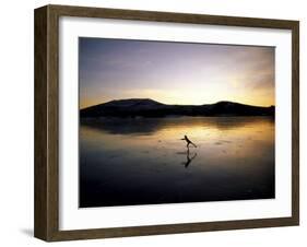 Silhouette of a Person Ice Skating-null-Framed Premium Photographic Print
