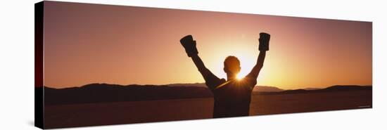 Silhouette of a Person Wearing Boxing Gloves in a Desert at Dusk, Black Rock Desert, Nevada, USA-null-Stretched Canvas