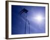 Silhouette of a Pole Vaulter in Action-null-Framed Photographic Print