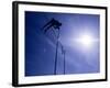 Silhouette of a Pole Vaulter in Action-null-Framed Photographic Print