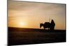 Silhouette of a Robed Wayfarer with His Donkey on Barren Land. Mesopotamia., 1960S (Photo)-Dean Conger-Mounted Giclee Print