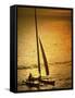 Silhouette of a Sailboat in the Sea-null-Framed Stretched Canvas