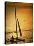 Silhouette of a Sailboat in the Sea-null-Stretched Canvas