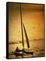 Silhouette of a Sailboat in the Sea-null-Framed Stretched Canvas