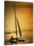 Silhouette of a Sailboat in the Sea-null-Stretched Canvas