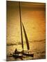 Silhouette of a Sailboat in the Sea-null-Mounted Photographic Print