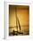 Silhouette of a Sailboat in the Sea-null-Framed Photographic Print