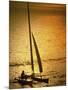Silhouette of a Sailboat in the Sea-null-Mounted Photographic Print