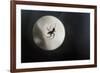 Silhouette of a Spider in the Back Light in Front of the Round Arachnida-Falk Hermann-Framed Photographic Print