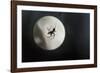 Silhouette of a Spider in the Back Light in Front of the Round Arachnida-Falk Hermann-Framed Photographic Print