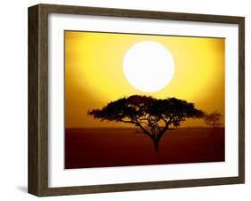 Silhouette of a Tree at Sunrise, Tanzania-null-Framed Premium Photographic Print