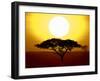 Silhouette of a Tree at Sunrise, Tanzania-null-Framed Premium Photographic Print