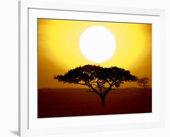 Silhouette of a Tree at Sunrise, Tanzania-null-Framed Photographic Print