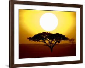 Silhouette of a Tree at Sunrise, Tanzania-null-Framed Photographic Print