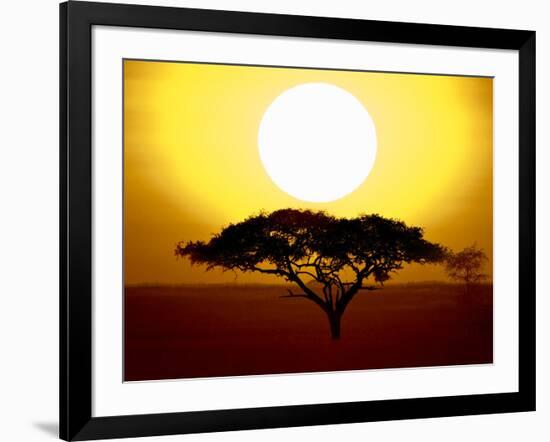 Silhouette of a Tree at Sunrise, Tanzania-null-Framed Photographic Print