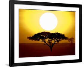 Silhouette of a Tree at Sunrise, Tanzania-null-Framed Photographic Print