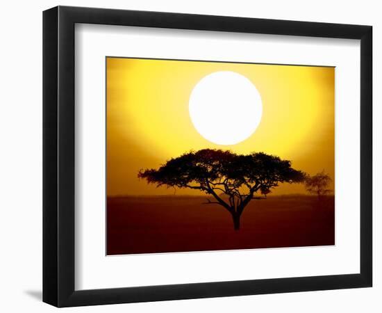 Silhouette of a Tree at Sunrise, Tanzania-null-Framed Photographic Print