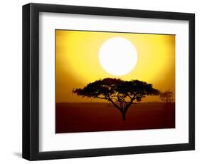 Silhouette of a Tree at Sunrise, Tanzania-null-Framed Photographic Print