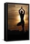 Silhouette of a woman in Vrkasana (tree pose) practising yoga against the light of the evening sun-Godong-Framed Stretched Canvas