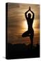 Silhouette of a woman in Vrkasana (tree pose) practising yoga against the light of the evening sun-Godong-Stretched Canvas