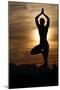 Silhouette of a woman in Vrkasana (tree pose) practising yoga against the light of the evening sun-Godong-Mounted Photographic Print