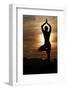 Silhouette of a woman in Vrkasana (tree pose) practising yoga against the light of the evening sun-Godong-Framed Photographic Print