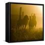 Silhouette of a Wrangler Roping Horses, Ponderosa Ranch, Seneca, Oregon, USA-Wendy Kaveney-Framed Stretched Canvas