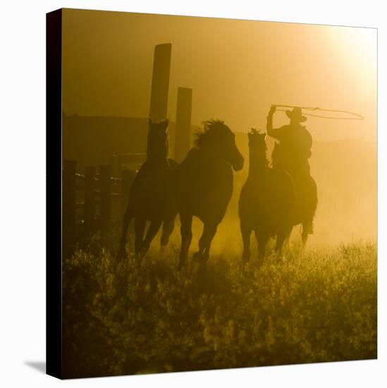 Silhouette of a Wrangler Roping Horses, Ponderosa Ranch, Seneca, Oregon, USA-Wendy Kaveney-Stretched Canvas