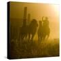 Silhouette of a Wrangler Roping Horses, Ponderosa Ranch, Seneca, Oregon, USA-Wendy Kaveney-Stretched Canvas