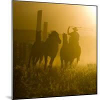 Silhouette of a Wrangler Roping Horses, Ponderosa Ranch, Seneca, Oregon, USA-Wendy Kaveney-Mounted Photographic Print