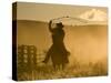 Silhouette of A Wrangler Swinging Lasso, Ponderosa Ranch, Seneca, Oregon, USA-Wendy Kaveney-Stretched Canvas