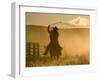 Silhouette of A Wrangler Swinging Lasso, Ponderosa Ranch, Seneca, Oregon, USA-Wendy Kaveney-Framed Photographic Print