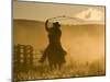 Silhouette of A Wrangler Swinging Lasso, Ponderosa Ranch, Seneca, Oregon, USA-Wendy Kaveney-Mounted Photographic Print