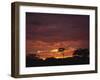 Silhouette of African Trees at Sunrise, Uganda, East Africa, Africa-Dominic Harcourt-webster-Framed Photographic Print