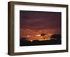 Silhouette of African Trees at Sunrise, Uganda, East Africa, Africa-Dominic Harcourt-webster-Framed Photographic Print