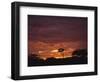 Silhouette of African Trees at Sunrise, Uganda, East Africa, Africa-Dominic Harcourt-webster-Framed Photographic Print