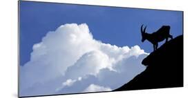 Silhouette of Alpine Ibex (Capra Ibex) Against Thunderstorm Clouds-Philippe Clement-Mounted Photographic Print