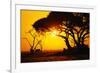 Silhouette of an African Elephant at Sunrise-Paul Souders-Framed Photographic Print