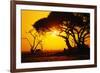 Silhouette of an African Elephant at Sunrise-Paul Souders-Framed Photographic Print