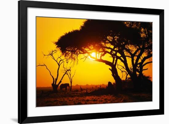 Silhouette of an African Elephant at Sunrise-Paul Souders-Framed Photographic Print