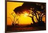 Silhouette of an African Elephant at Sunrise-Paul Souders-Framed Photographic Print