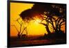 Silhouette of an African Elephant at Sunrise-Paul Souders-Framed Photographic Print