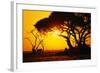 Silhouette of an African Elephant at Sunrise-Paul Souders-Framed Photographic Print