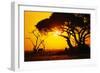 Silhouette of an African Elephant at Sunrise-Paul Souders-Framed Photographic Print