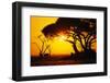 Silhouette of an African Elephant at Sunrise-Paul Souders-Framed Photographic Print