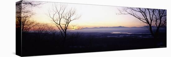 Silhouette of Bare Trees on a Landscape, Catskill, New York, USA-null-Stretched Canvas