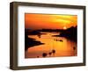 Silhouette of boats and buoys in a river, Aber Wrac'h, Abers Coast, Finistere, Brittany, France-null-Framed Photographic Print