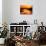 Silhouette of boats and buoys in a river, Aber Wrac'h, Abers Coast, Finistere, Brittany, France-null-Photographic Print displayed on a wall